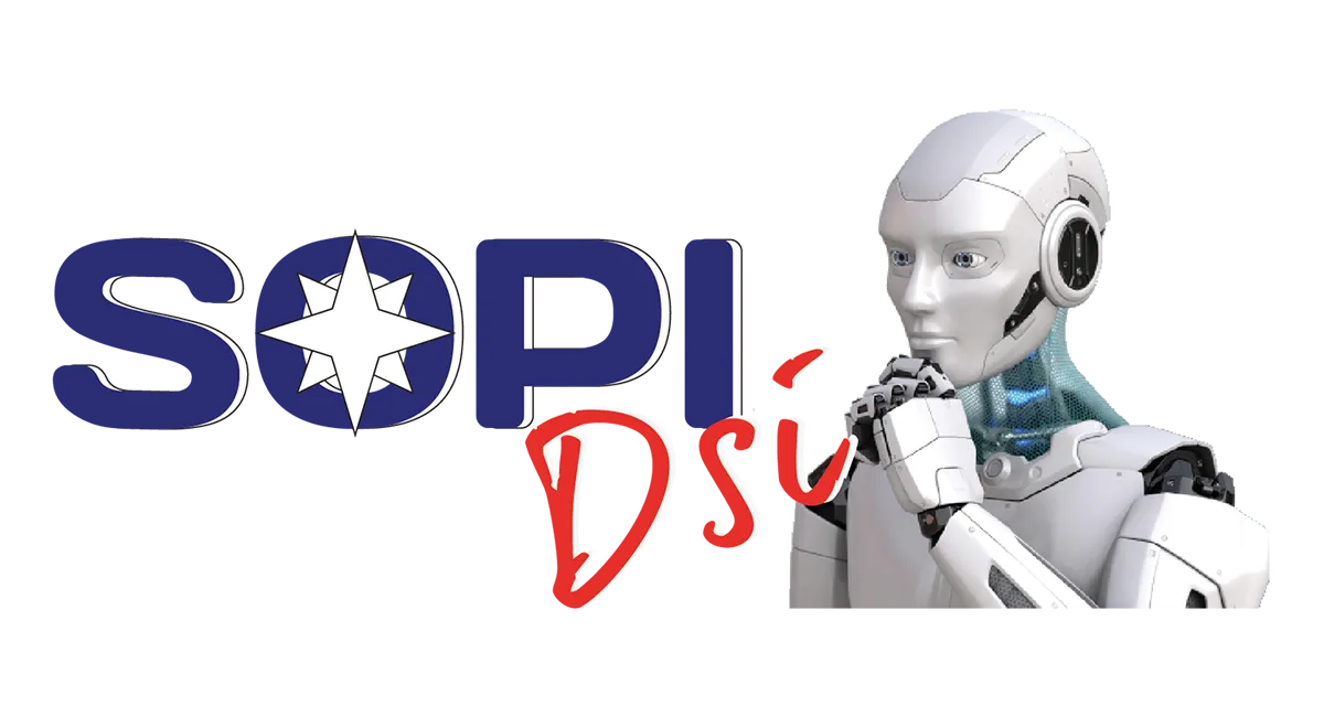 Sopitec - Optimisation et Infogérance Informatique - DSI