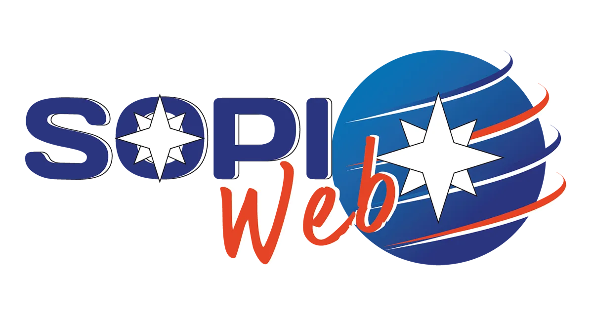 Sopitec - Optimisation et Infogérance Informatique - Nom de domaine et Site Web