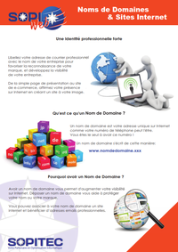 Sopitec - Optimisation et Infogérance Informatique - Nom de domaine et Site internet